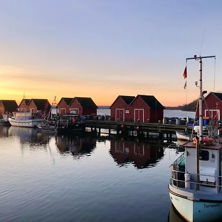 Victoria, Eisvogel *